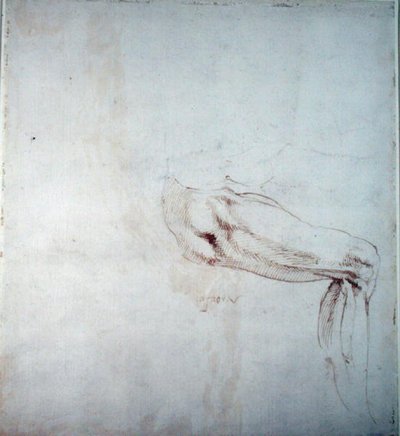 Studie van een Been met Aantekeningen door Michelangelo Buonarroti